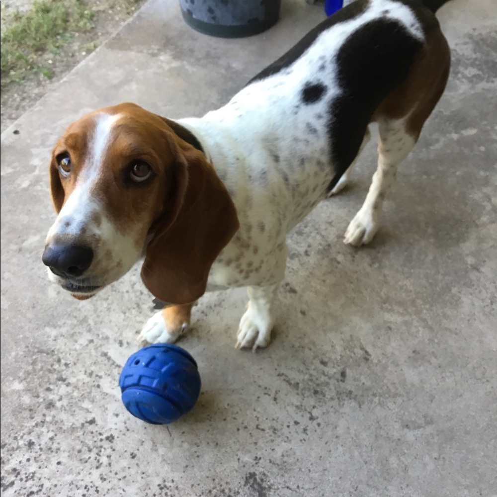 Hello friends! - Picture 9 of 16